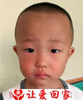 李佳畅