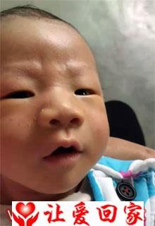 弃婴