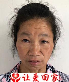毛小丽