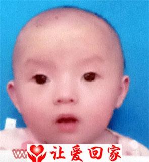 董伊伊