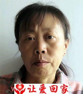 兰崇菊