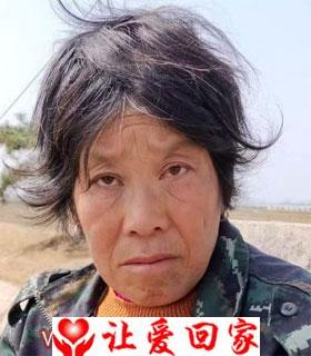 刘丽