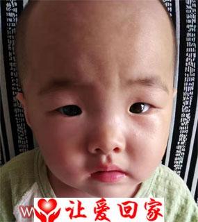 田宇桐