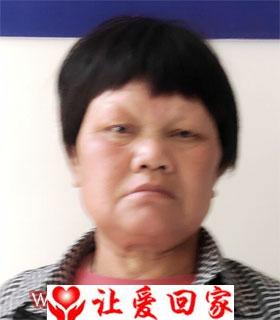 韦卯