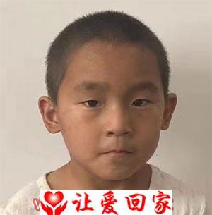 高豪天