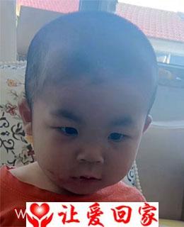 王泽鑫