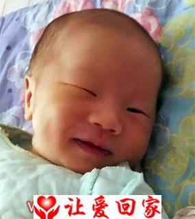吴沐林