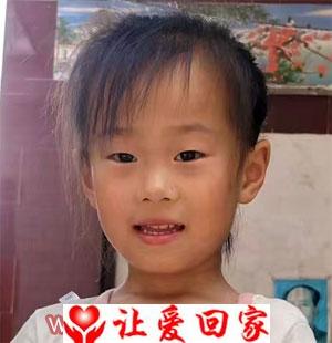 拟取名孙龙燕