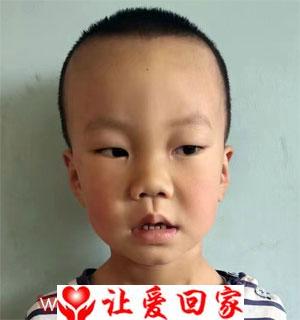 樊一凡