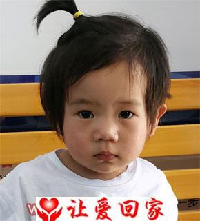 马嘉硕