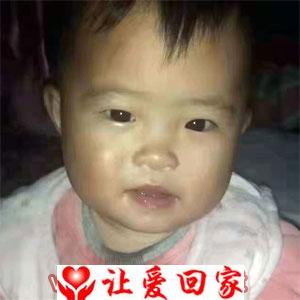 李佳佳