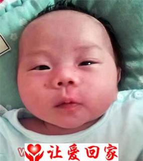 寻找父母