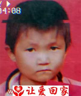 寻亲生父母