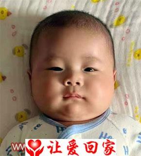 任泽嘉