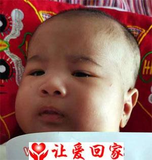 赵以琛