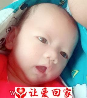 包瑞鸿
