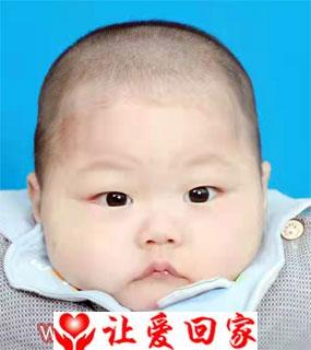 刘兴赫