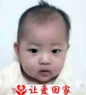 魏家琪