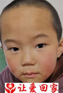 贾梓洋