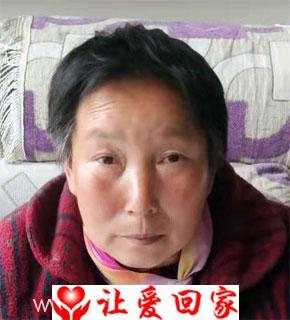 张引音