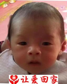 蔡晓睿