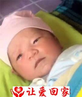 杨涵