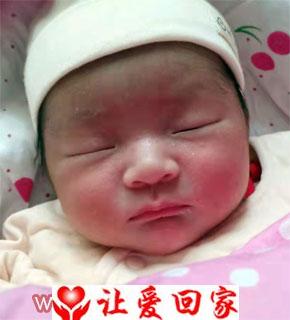杜佳桐