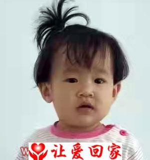 岳姝君