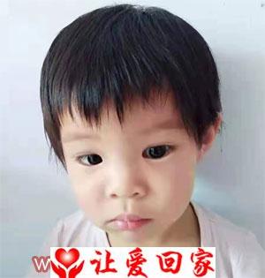 魏云腾