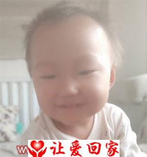 李刘洋