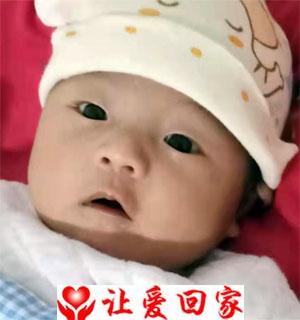 王昕蕾