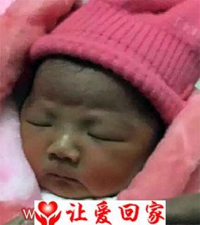 彭菁