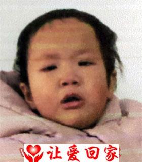程诗桐