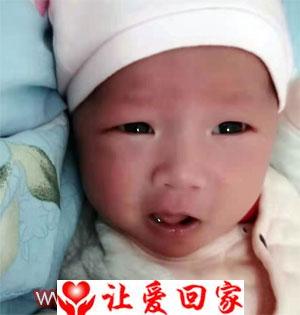 丁依涵