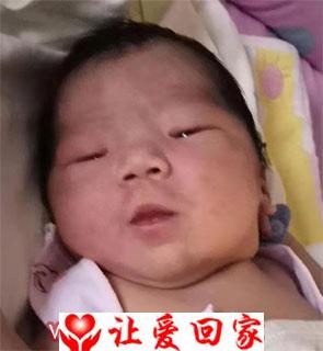 贾亦贤