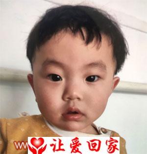 田晓蕾