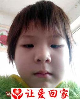 殷悦桐