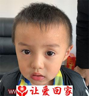 杨智梁