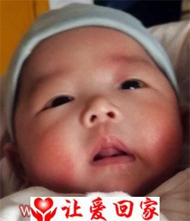 符果果