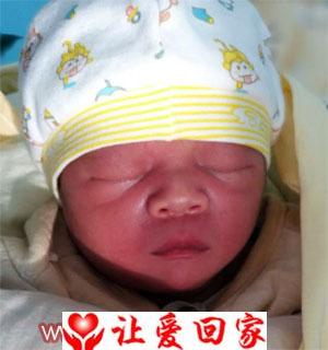 杨怡睿