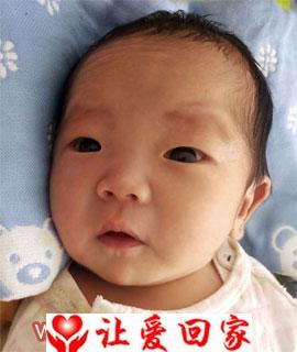 路瑾辰