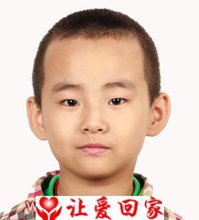 杨卢