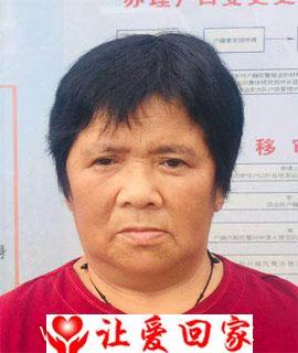 肖帮菊