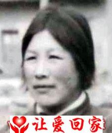 张新林