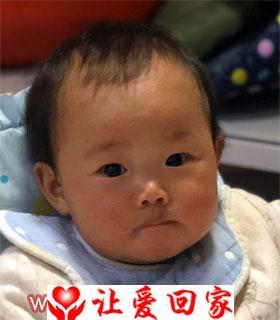 寻父母