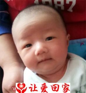 崇泽宇