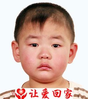 张博