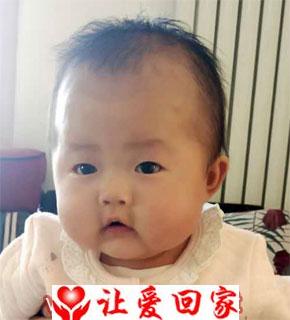 高文婧