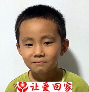 赵晨宇