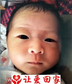 赵轩